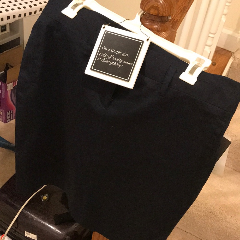 Zara Navy skirt-perfect for the office/casual wear